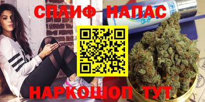сатива Владикавказ