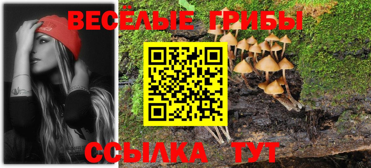 Выборг  дарнет шоп  Вход с VPN  Галлюциногенные грибы мицелий  Псилоцибиновые грибы мицелий 
